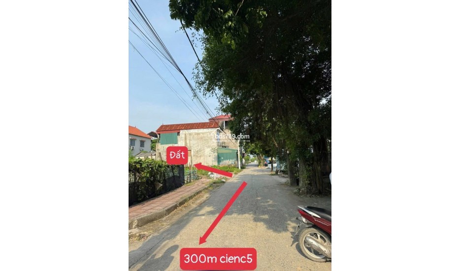 Bán đất Bạch Nao đường xe tải giá chỉ hơn 3x tỷ hiếm còn sót lại
